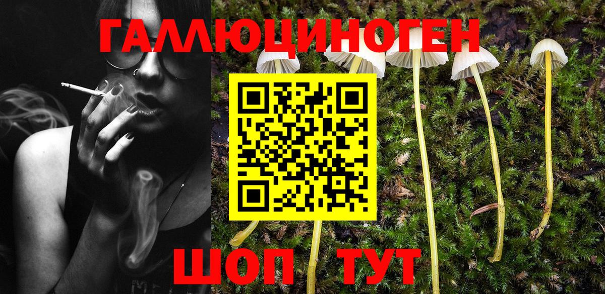 где купить наркоту  Галлюциногенные грибы мухоморы  Стерлитамак  Вход с VPN  Галлюциногенные грибы Psilocybine cubensis 
